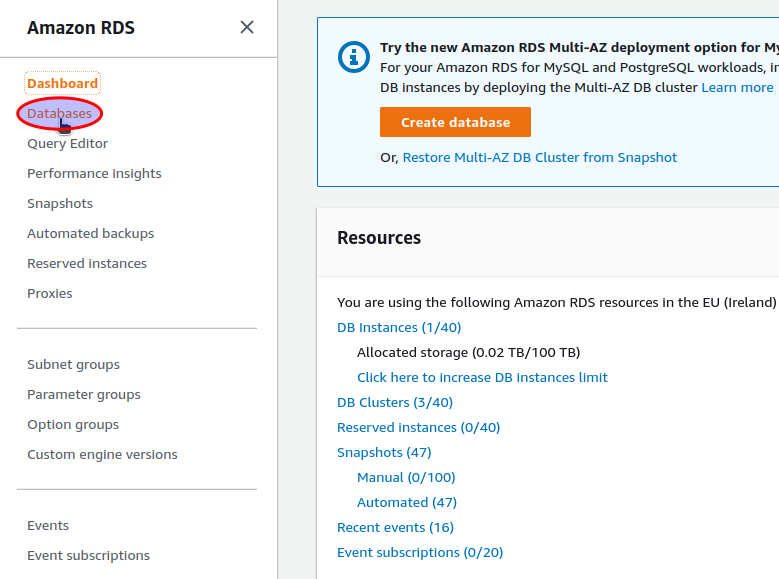 Select AWS RDS "Databases"